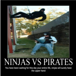 Ninjas Vs Pirates Motivational Poster Game Spray