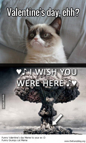 Grumpy Cat Meme Valentine 39 S Day