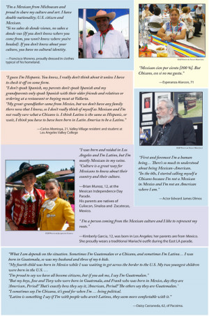 seagull identity quote