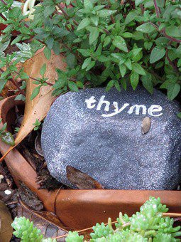 herb garden~ cute Idea maybe with a smaller rock to label your herbs ...