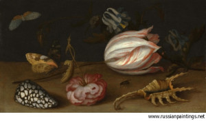 Still Life With Flowers Shells And Insects Balthasar Van Der Ast