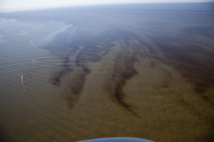 Go Back > Gallery For > Sad Oil Spill Pictures