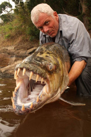 Extreme angler Jeremy Wade holds a goliath tigerfish caught in the ...