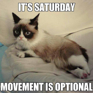 Best Grumpy Cat Quotes