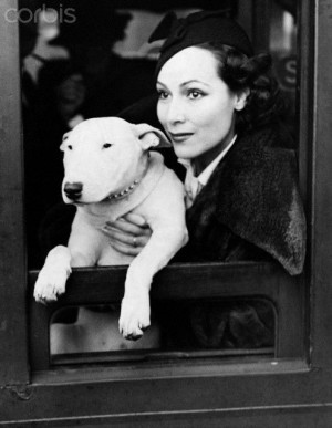 ... from the train window, Dolores del Rio and her handsome bull terrier