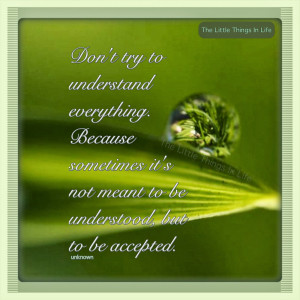 Quote on intuition on a green background with dew on a leaf reflecting ...