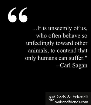 Carl Sagan: Brilliance Coupled With Compassion