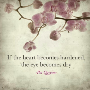 Hardened Heart