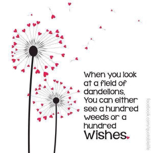 DAndelion wishes