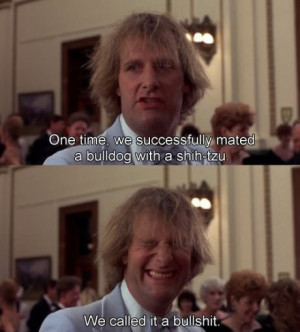 Dumb and Dumber Quotes About Bullshit