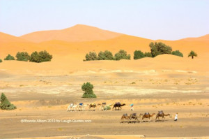 Quotes About the Sahara Desert