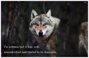 nothing but a lone wolf, misunderstood and labeled to be dangerous ...