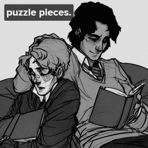 puzzle pieces; a sirius/remus fanmix ( original art credit )