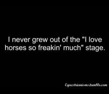 equestrian, horses, horse quotes