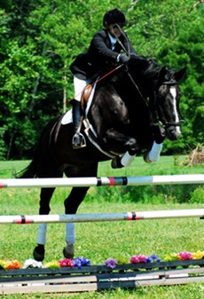... one hour jumping classes and 4 one hour flat work classes per week