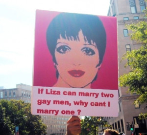 Funny Pro-Gay Marriage Signs