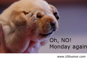 Funny Monday Pictures Bacon