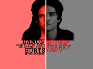 ... between Damon Salvatore and Elena Gilbert of The Vampire Diaries