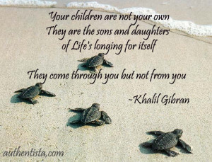 Follow your own dreams! turtle babies #quotes ... | Sea Turtle World