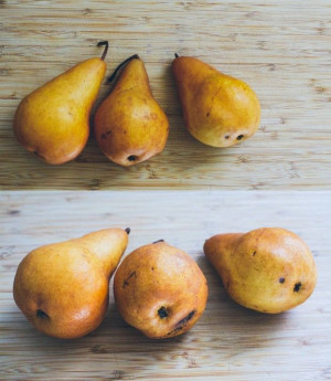 let us break bread together on our knees.' josh garrels