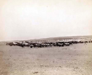 Central Air Conditioner Vent