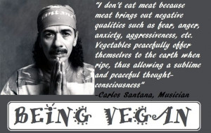 ... no animal products in his diet at all which would be a vegan diet