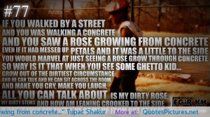 you-saw-a-rose-growing-from-concrete-tupac-shakur.jpg