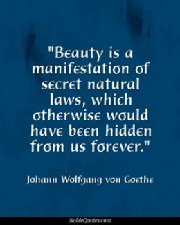 beauty is a manifestation of secret natural laws, which otherwise ...