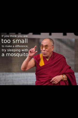 er helemaal niets van dat dit citaat uit de koker van de Dalai Lama