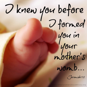 Mother’s Womb Jeremiah 1.5