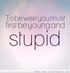 To be wise you must first be young and stupid.