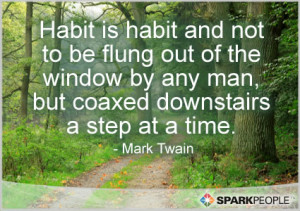 Motivational Quote - Habit is habit and not to be flung out of the ...
