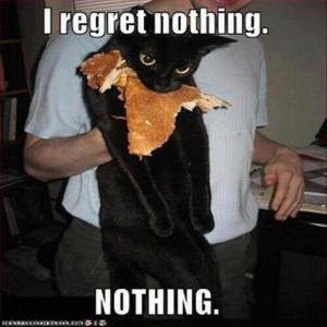 regret nothing cat eating pancakes