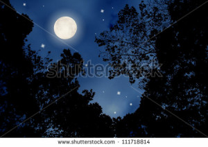 Large Moon Magic The Night Sky
