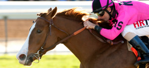 SUNSHINE MILLIONS FILLY AND MARE TURF SPRINT STAKES QUOTES