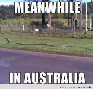 funny pics, funny quotes, funny sayings, funny me, funny conversations