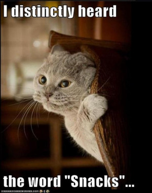 Funny Pictures – 39 Pics