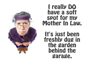 Mother in Law Quotes Funny