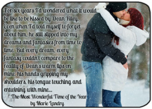 The Most Wonderful Time of the Year by Marie Landry Release Date: 11 ...