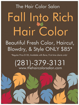 The Hair Color Salon Your