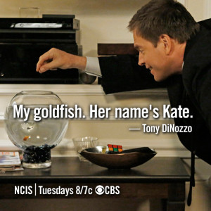 the only surprise on last night s episode of ncis check out this ...