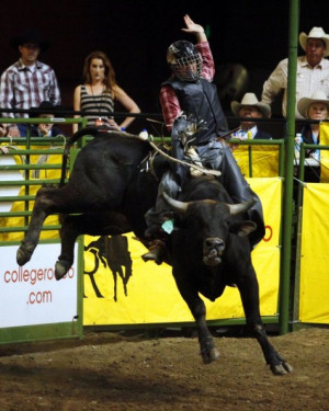 CNFR bull riding and breakaway roping: Cowboy Ups, Cowboy Downs