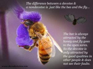 ... Between A Devotee & A Nondevotee Is Just LIke The Bee And The Fly