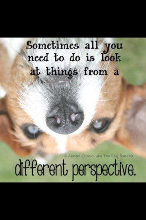 looking at things differently~