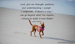 Lord, give me strength, patience, and understanding. I accept. I ...