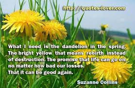 Is The Dandelion In The Spring. The Bright Yellow That Means Rebirth ...
