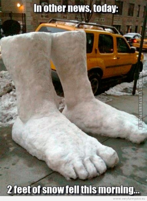 Funny Pictures - 2 feet of snow fell this morning