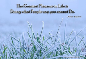 Life Quotes-Thoughts-Walter Bagehot-The Greatest Pleasure in Life