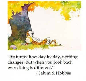 What are the most profound quotes from the Calvin and Hobbes series?