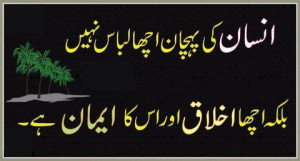 Photo 28967 of 146277 Previous Next